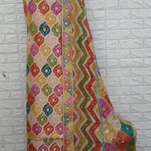 Kamkhawab gharara- with stone- 1