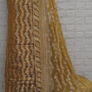 Kamkhawab gharara- with stone-1
