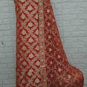 Kamkhawab gharara- with stone-10