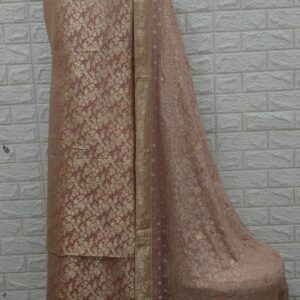 Kamkhawab gharara-with stone-17