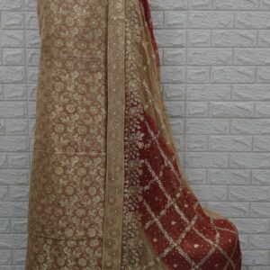 Kamkhawab gharara- with stone-18