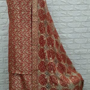 Kamkhawab gharara- with stone-3