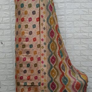 Kamkhawab gharara- with stone- 7