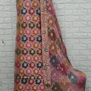 Kamkhawab gharara- with stone-9