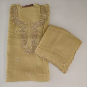 Dapka Handwork Suit-4
