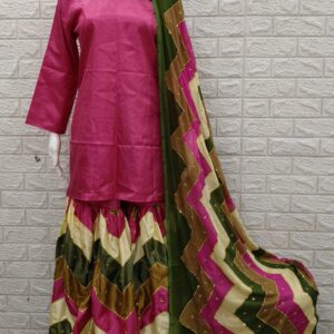 Chatapati gharara-14